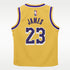 Jersey Nike de la NBA Replica infantil LeBron James Los Angeles Lakers Icon Edition – Amarillo – vista 2