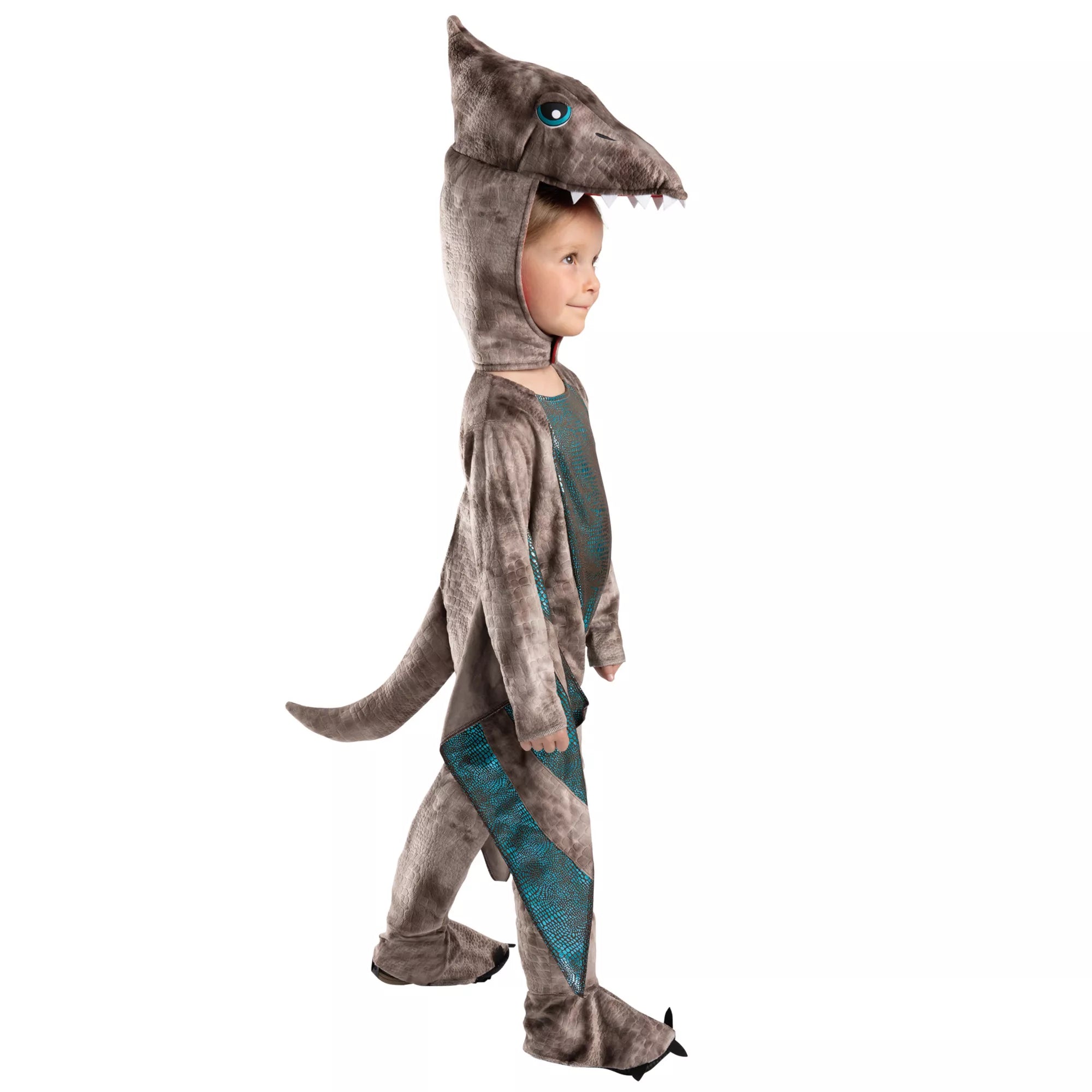 Disfraz de pterodáctilo para niño pequeño - imagen 2