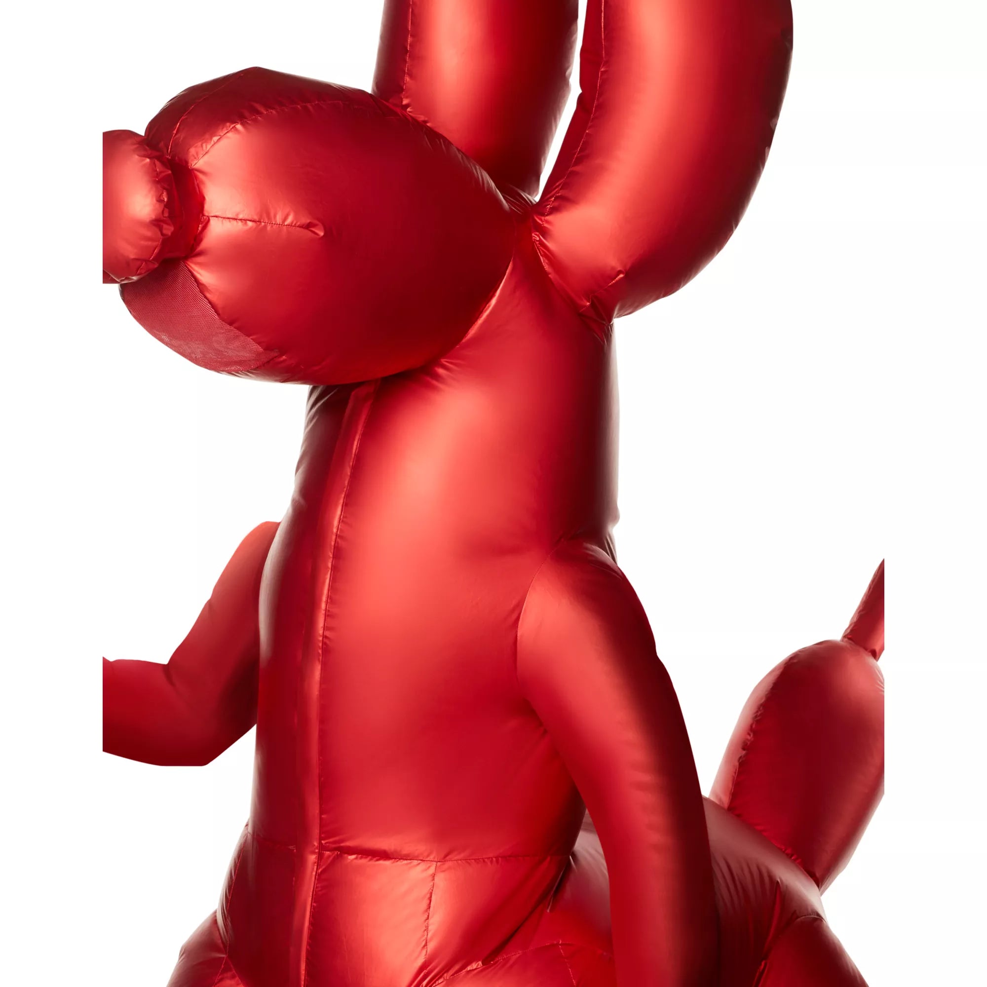 Disfraz inflable de animal de globo para niño - imagen 2