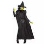 Disfraz de Elphaba para niña – Wicked - imagen 1