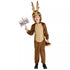 Disfraz de Wile E. Coyote para niño – Looney Tunes - imagen 1