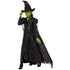 Disfraz deluxe de Elphaba para niña – Wicked: For Good - imagen 1