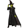 Disfraz deluxe de Elphaba para niña – Wicked: For Good - imagen 1
