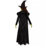 Disfraz deluxe de Elphaba para niña – Wicked: For Good - imagen 2