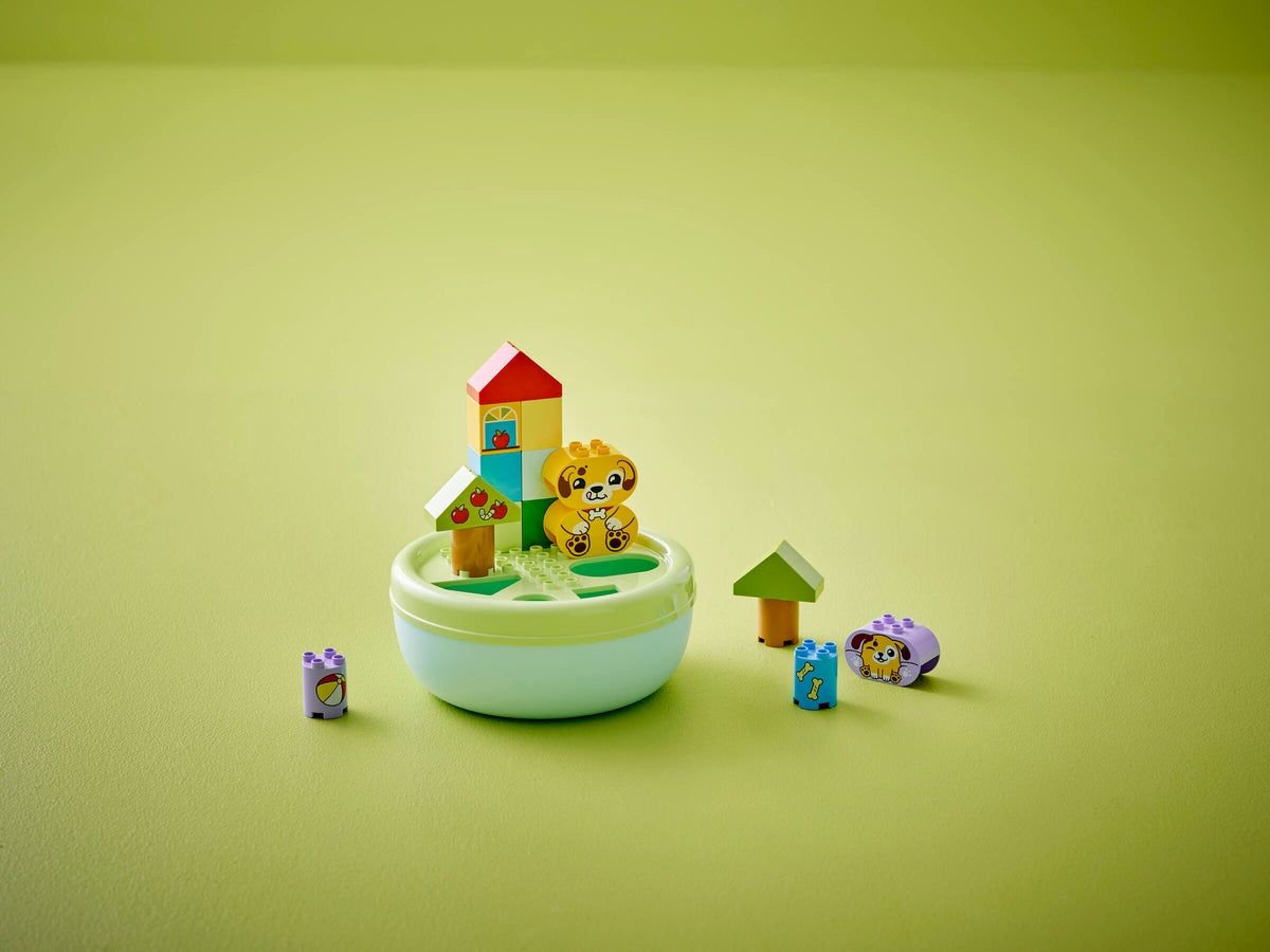 LEGO DUPLO Clasificador de Formas: Casita para Cachorros 10441