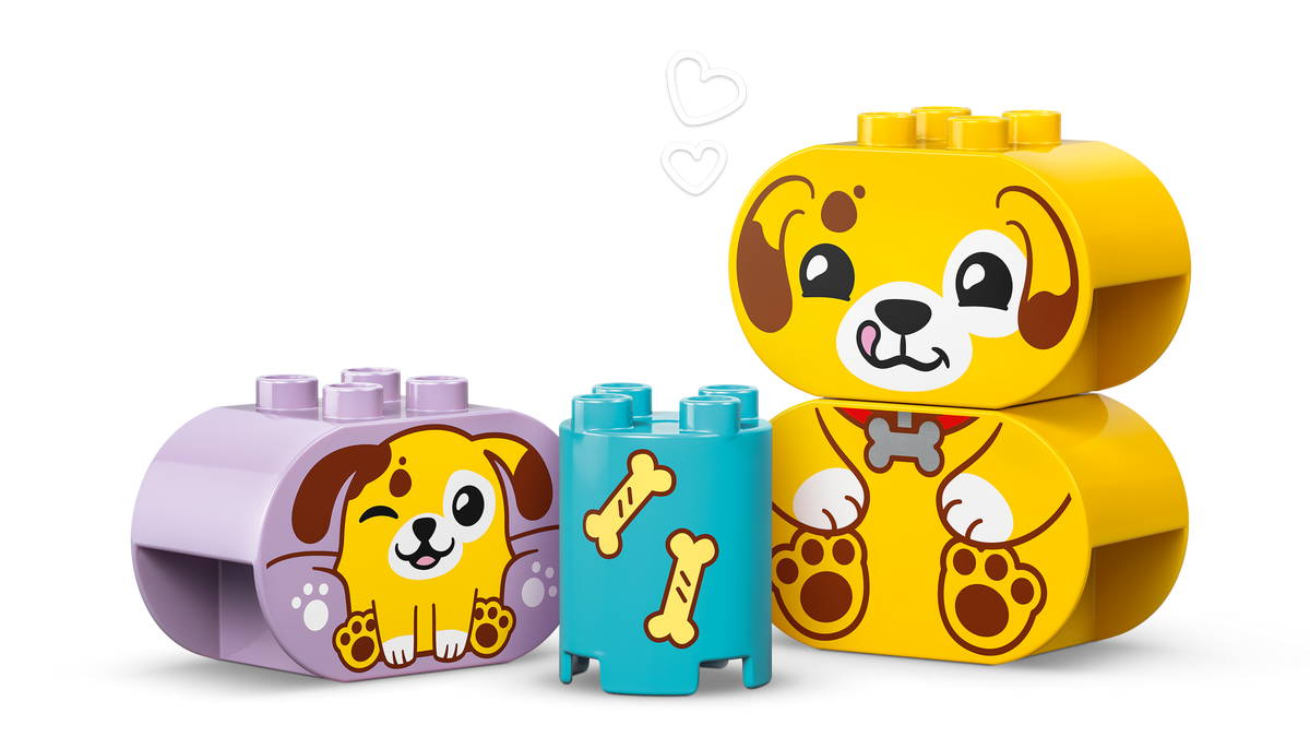 LEGO DUPLO Clasificador de Formas: Casita para Cachorros 10441