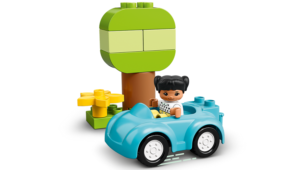 LEGO DUPLO Caja de Ladrillos 10913