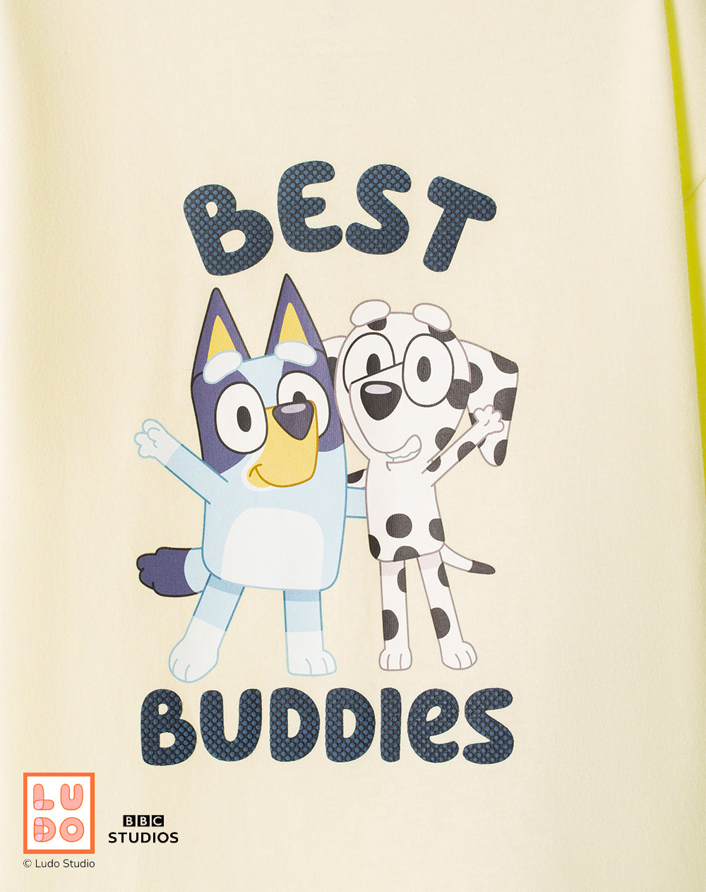 Conjunto Babyfresh Camiseta y Bermuda Bluey para Niños