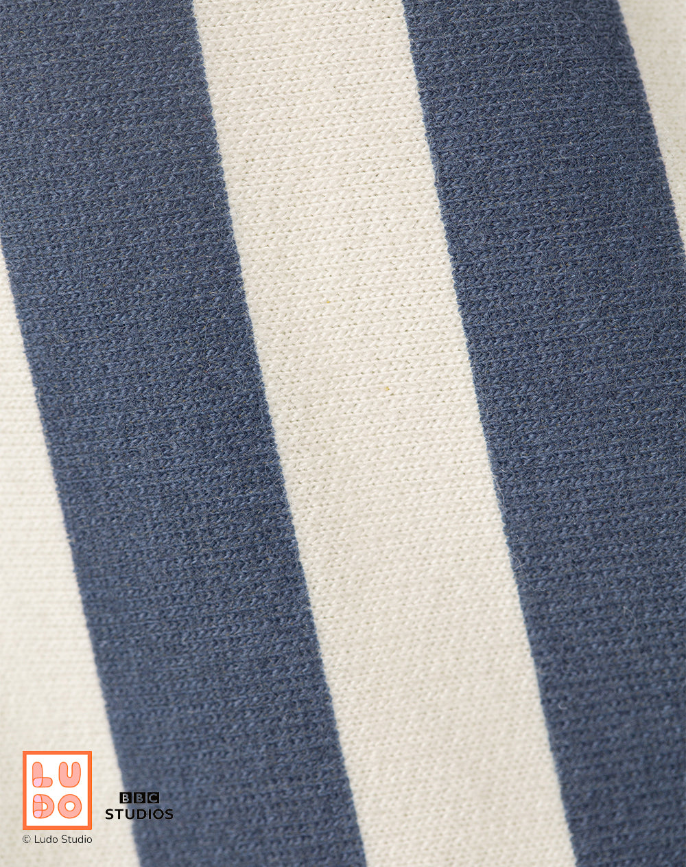 Conjunto Babyfresh Camiseta y Bermuda Bluey para Niños
