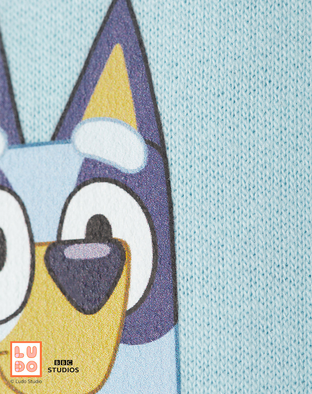 Buzo Babyfresh Oversize Bluey y Bingo para Niño