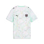 Jersey de futbol juvenil visitante de Austria – PUMA White-Mint Melt – vista 5