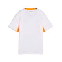 Jersey de futbol juvenil visitante de Islandia – PUMA White-Cool Dark Gray – vista 6