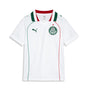 Jersey juvenil SE Palmeiras Torcedor Visita – PUMA WHITE – vista 1