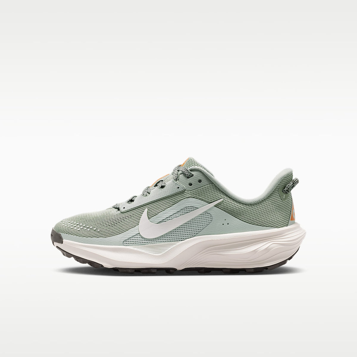 Nike ACG Pegasus Trail – Horizonte jade/Plata claro/Naranja seguridad/Fantasma – vista 1