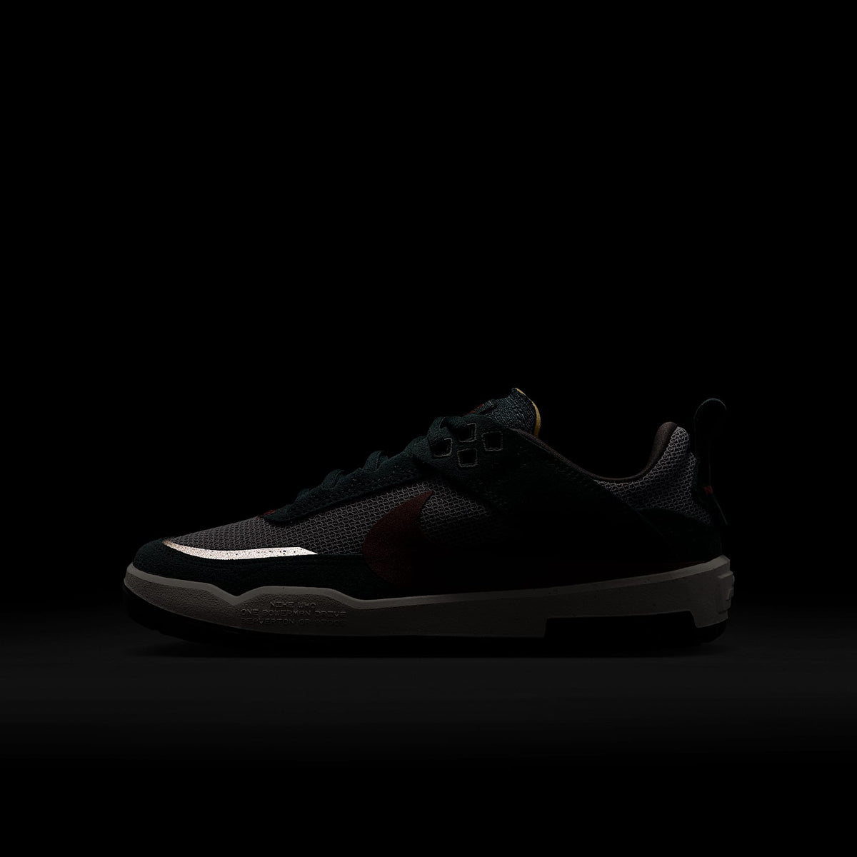 Nike SB Day One – Alga/Ceniza medio/Vela/Rojo sepia – vista 9