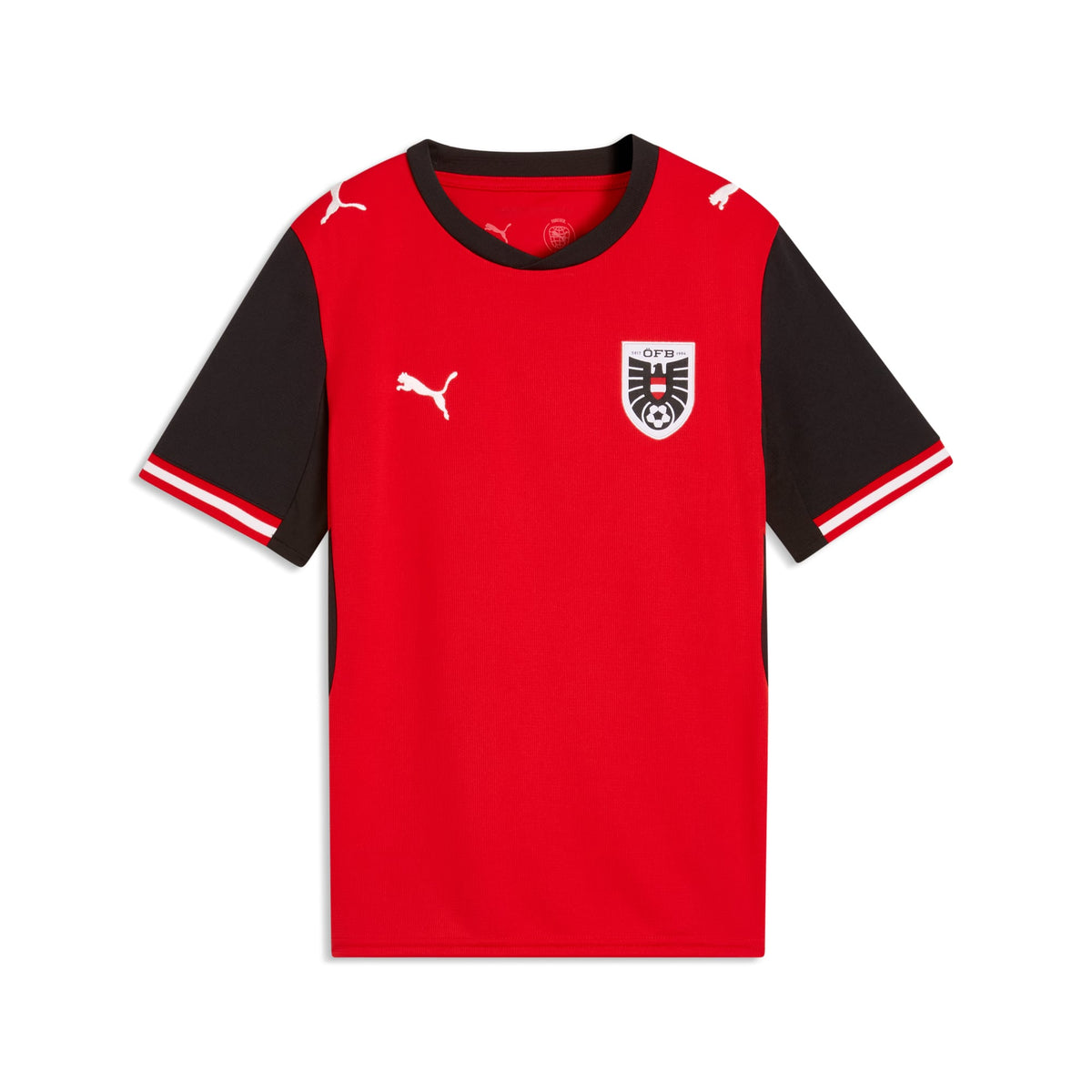 Playera de fútbol juvenil Austria local – PUMA Red-PUMA Black – vista 6