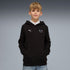 Sudadera con capucha juvenil BMW M MOTORSPORT Essentials – PUMA BLACK – vista 1