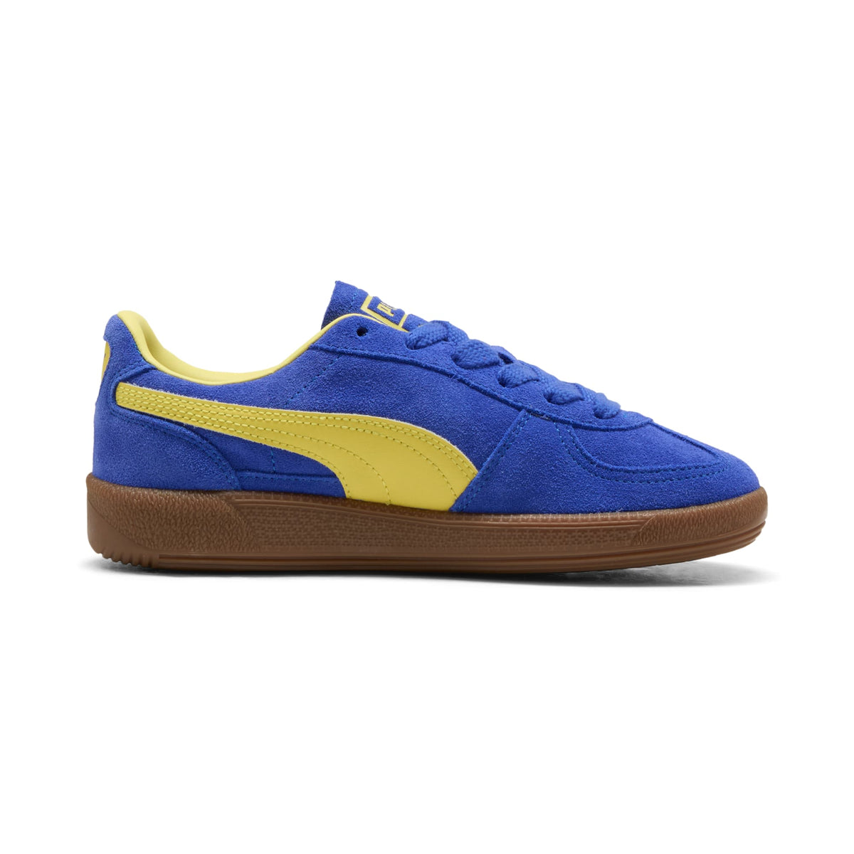 6 Colores, Tenis adolescentes Palermo – Royal Sapphire-Lemon Meringue – vista 5