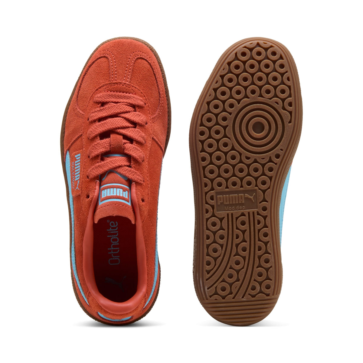 6 Colores, Tenis adolescentes Palermo – Amarena-Vibrant Blue – vista 4