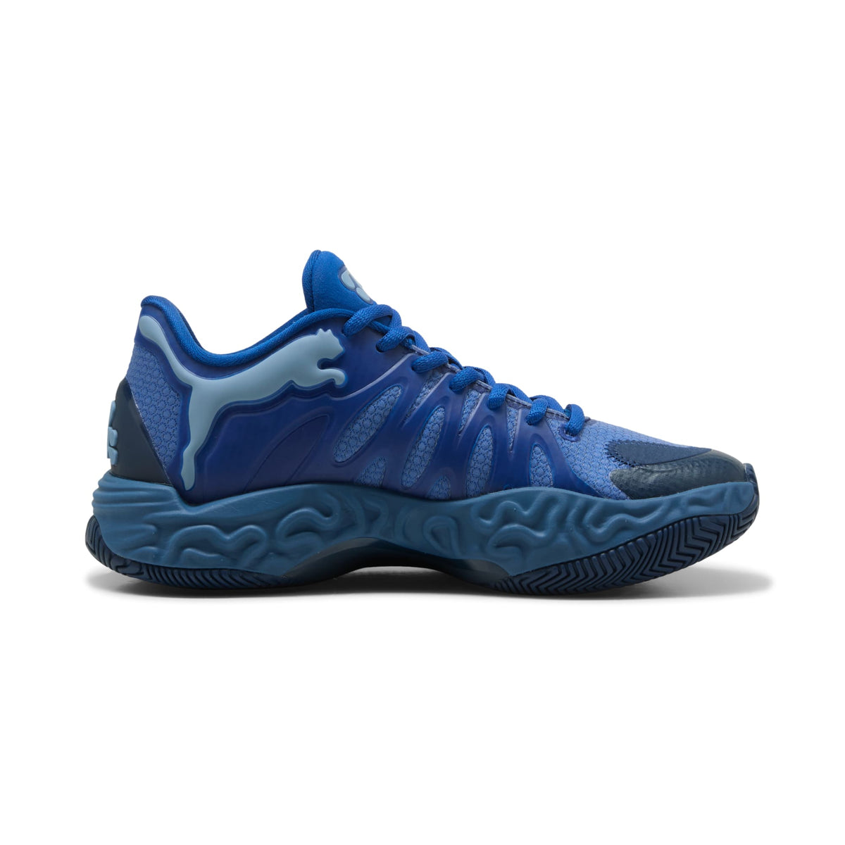 3 Colores, Tenis de basquetbol juveniles Hali 1 – Cobalt Glaze-Zen Blue – vista 5