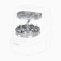 Rejilla para Extractor de Leche Bottle Washer Pro Baby Brezza