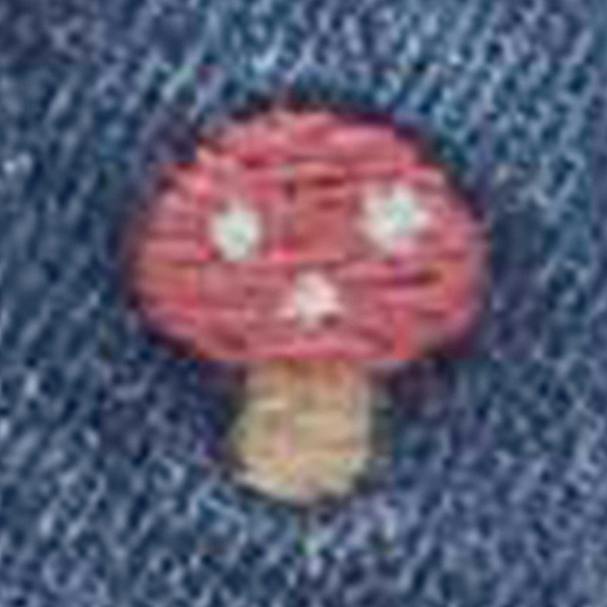 Conjunto Purebaby Pinnie y Camiseta Bordada Toadstool