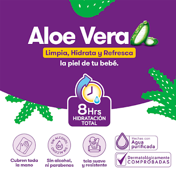 Toallitas Húmedas Pequeñín Aloe X 100 Und